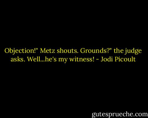 Objection!" Metz shouts.<br />Grounds?" the judge asks.<br />Well...he's my witness! - Jodi Picoult