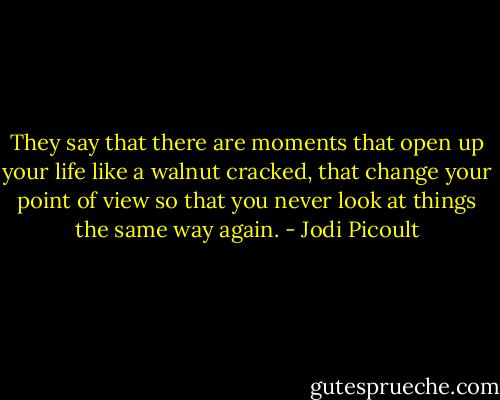 They say that there are moments that open up your life like a walnut cracked, that change your point of view so that you never look at things the same way again. - Jodi Picoult
