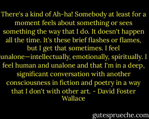 There's a kind of Ah-ha! Somebody at least for a moment feels about something or sees something the way that I do. It doesn't happen all the time. It's these brief flashes or flames, but I get that sometimes. I feel unalone—intellectually, emotionally, spiritually. I feel human and unalone and that I'm in a deep, significant conversation with another consciousness in fiction and poetry in a way that I don't with other art. - David Foster Wallace