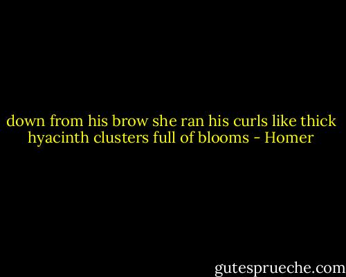 down from his brow<br />she ran his curls<br />like thick hyacinth clusters<br />full of blooms - Homer