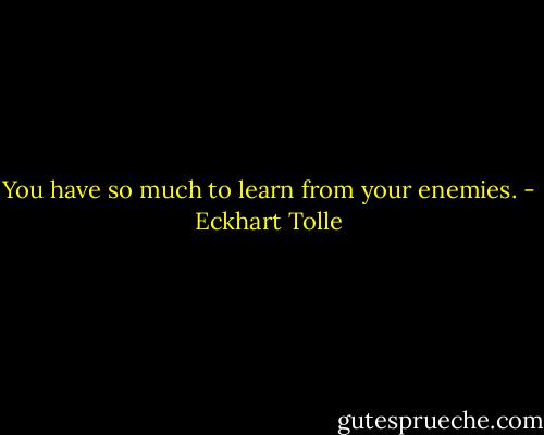 You have so much to learn from your enemies. - Eckhart Tolle