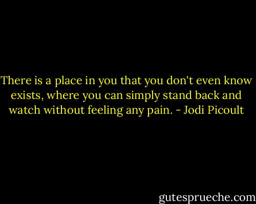 There is a place in you that you don't even know exists, where you can simply stand back and watch without feeling any pain. - Jodi Picoult