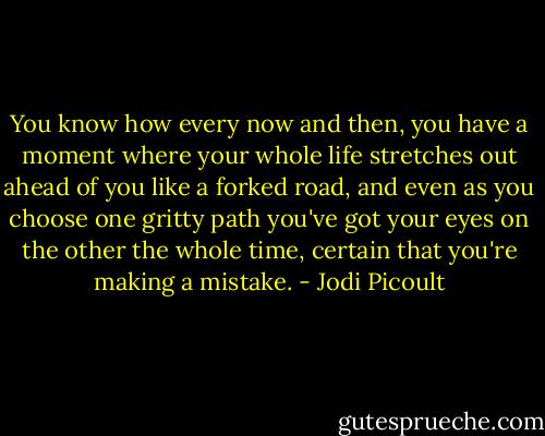 You know how every now and then, you have a moment where your whole life stretches out ahead of you like a forked road, and even as you choose one gritty path you've got your eyes on the other the whole time, certain that you're making a mistake. - Jodi Picoult