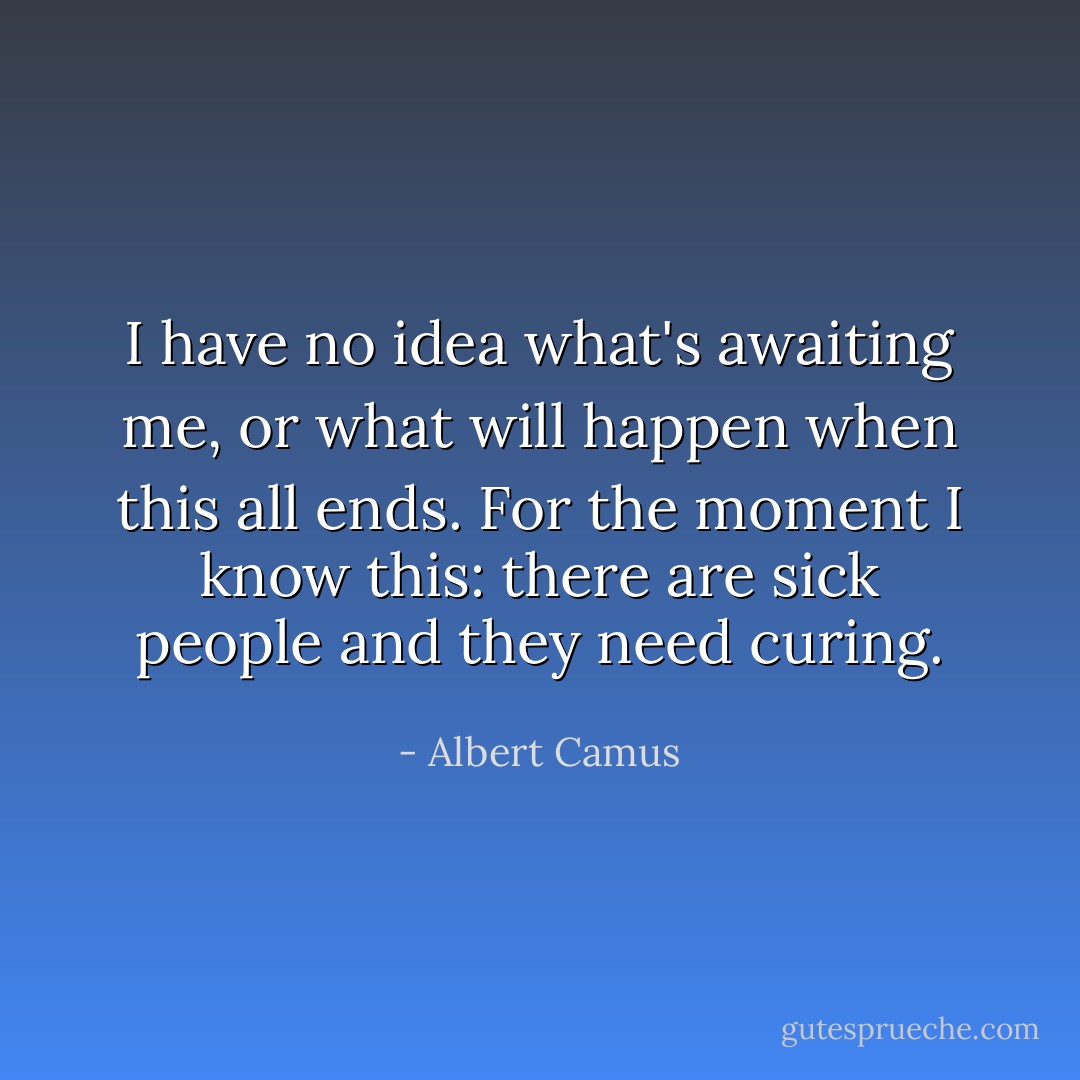 I have no idea what's awaiting me, or what will happen when this all ends. For the moment I know this: there are sick people and they need curing. - Albert Camus