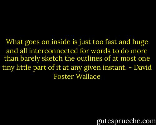 What goes on inside is just too fast and huge and all interconnected for words to do more than barely sketch the outlines of at most one tiny little part of it at any given instant. - David Foster Wallace