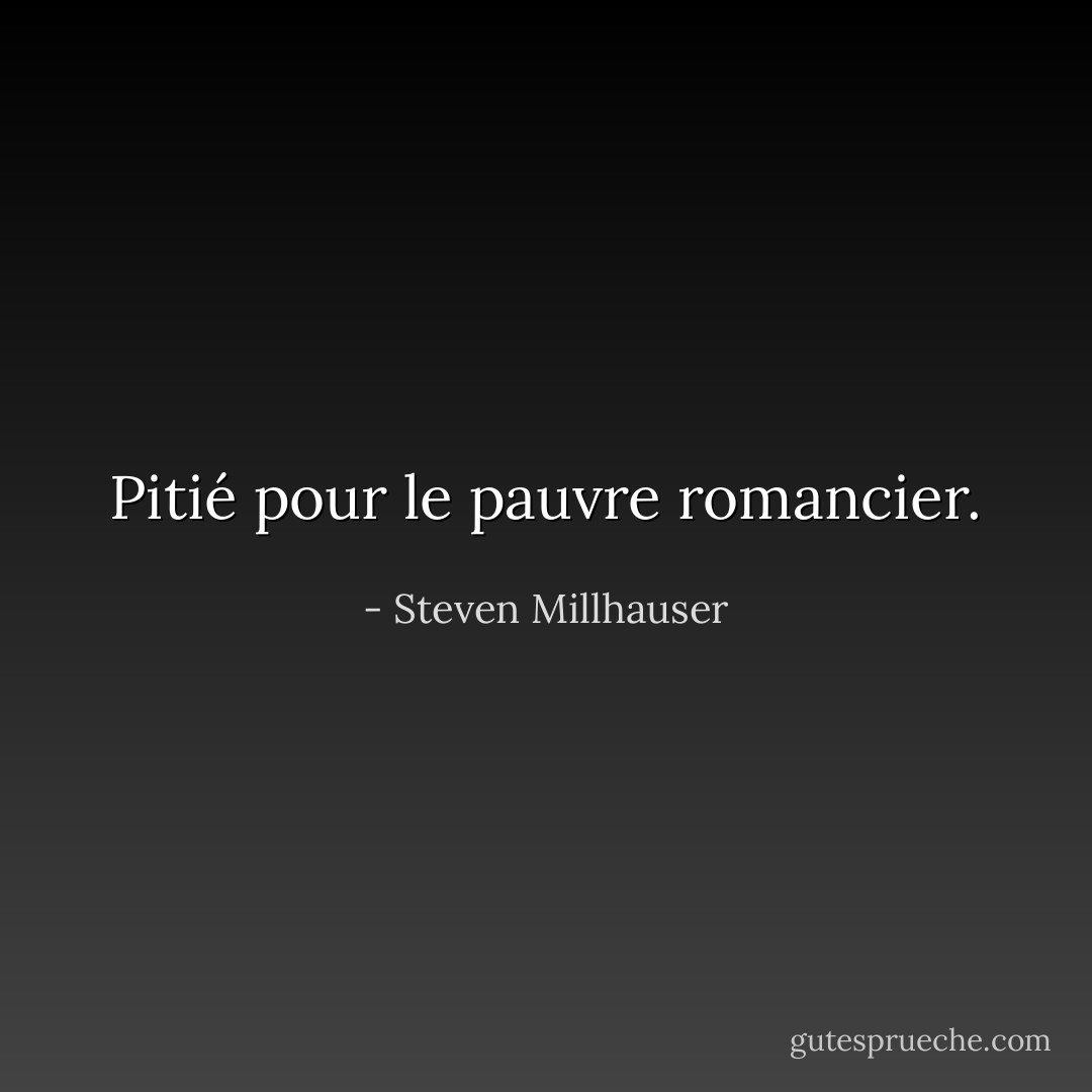 Pitié pour le pauvre romancier. - Steven Millhauser