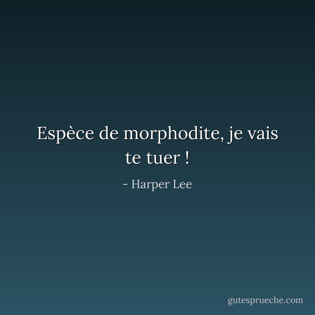 Espèce de morphodite, je vais te tuer ! - Harper Lee