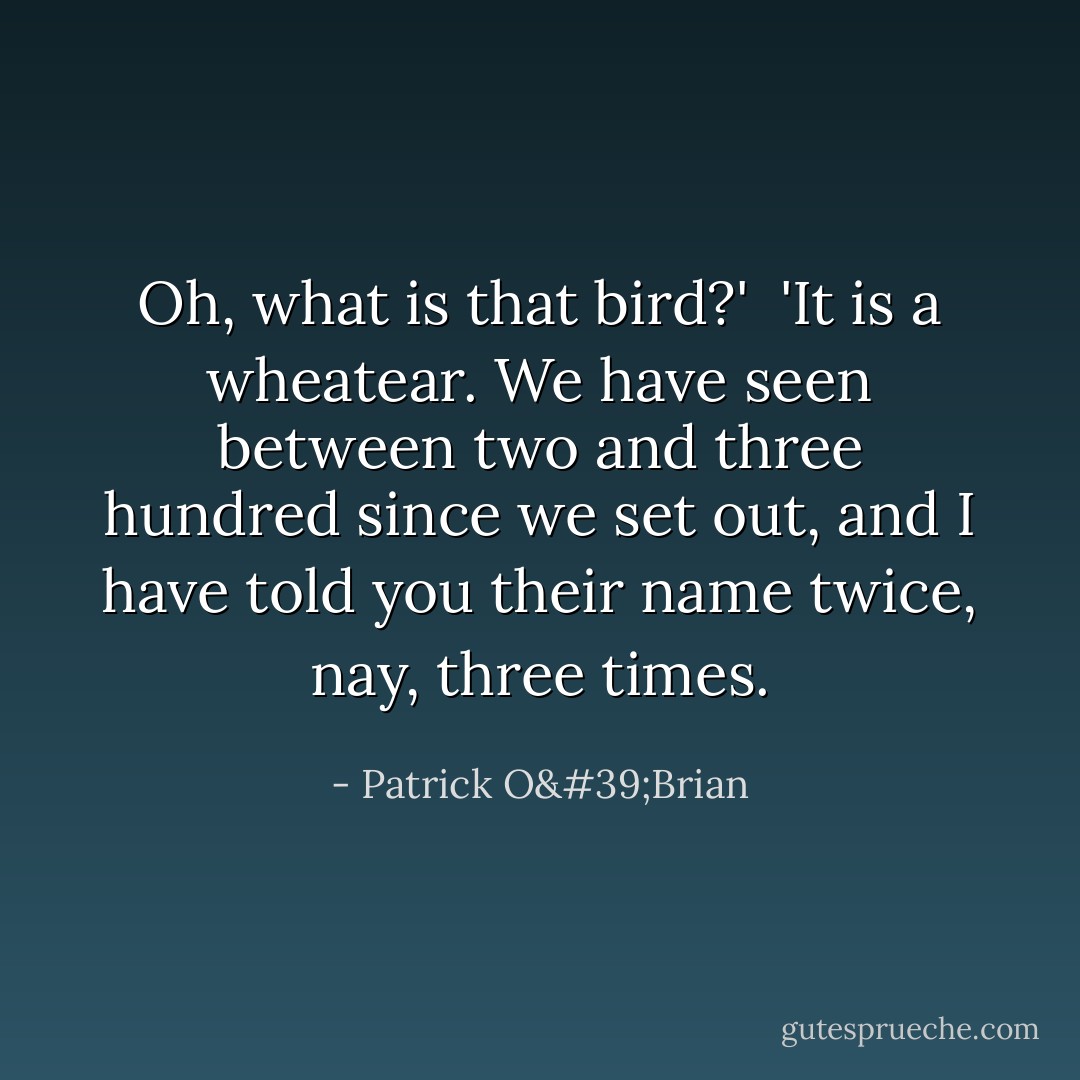 Oh, what is that bird?'<br /><br />'It is a wheatear. We have seen between two and three hundred since we set out, and I have told you their name twice, nay, three times. - Patrick O'Brian