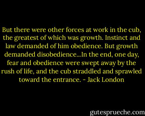 But there were other forces at work in the cub, the greatest of which was growth. Instinct and law demanded of him obedience. But growth demanded disobedience...In the end, one day, fear and obedience were swept away by the rush of life, and the cub straddled and sprawled toward the entrance. - Jack London