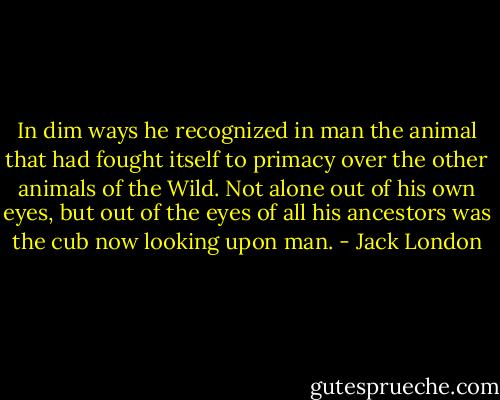 In dim ways he recognized in man the animal that had fought itself to primacy over the other animals of the Wild. Not alone out of his own eyes, but out of the eyes of all his ancestors was the cub now looking upon man. - Jack London
