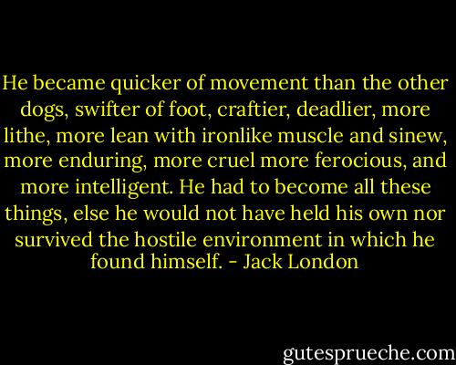 He became quicker of movement than the other dogs, swifter of foot, craftier, deadlier, more lithe, more lean with ironlike muscle and sinew, more enduring, more cruel more ferocious, and more intelligent. He had to become all these things, else he would not have held his own nor survived the hostile environment in which he found himself. - Jack London
