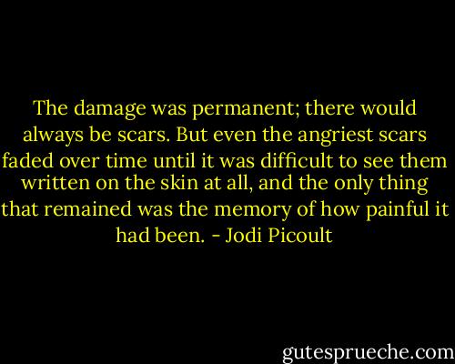 The damage was permanent; there would always be scars. But even the angriest scars faded over time until it was difficult to see them written on the skin at all, and the only thing that remained was the memory of how painful it had been. - Jodi Picoult