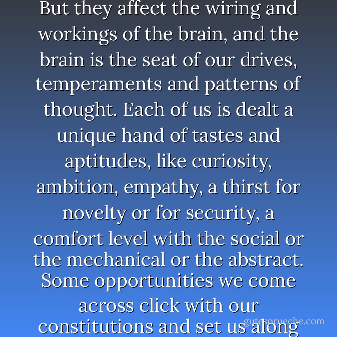 Of course genes can’t pull the levers of our behavior directly. But they affect the wiring and workings of the brain, and the brain is the seat of our drives, temperaments and patterns of thought. Each of us is dealt a unique hand of tastes and aptitudes, like curiosity, ambition, empathy, a thirst for novelty or for security, a comfort level with the social or the mechanical or the abstract. Some opportunities we come across click with our constitutions and set us along a path in life. - Steven Pinker