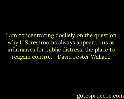 I am concentrating docilely on the question why U.S. restrooms always appear to us as infirmaries for public distress, the place to reagain control. - David Foster Wallace
