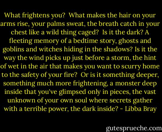 What frightens you?<br /> What makes the hair on your arms rise, your palms sweat, the breath catch in your chest like a wild thing caged?<br /> Is it the dark? A fleeting memory of a bedtime story, ghosts and goblins and witches hiding in the shadows? Is it the way the wind picks up just before a storm, the hint of wet in the air that makes you want to scurry home to the safety of your fire?<br /> Or is it something deeper, something much more frightening, a monster deep inside that you've glimpsed only in pieces, the vast unknown of your own soul where secrets gather with a terrible power, the dark inside? - Libba Bray