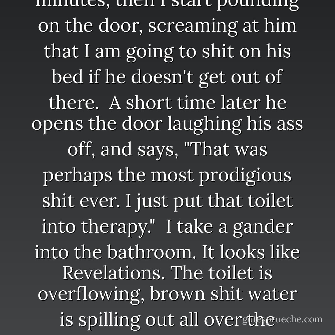 I hadn't realized how supremely shit-housed I was until we stumbled into our room at the Embassy Suites. You ever been so drunk you forgot that you have to shit until the last minute? Well I was at that stage. I nearly had my pants completely off when SlingBlade snaked past me and got into the toilet first. Fine, I go get out of my bar clothes and change into a t-shirt and pink Gap boxers to sleep in. I wait patiently for about three minutes, then I start pounding on the door, screaming at him that I am going to shit on his bed if he doesn't get out of there.<br /><br />A short time later he opens the door laughing his ass off, and says, "That was perhaps the most prodigious shit ever. I just put that toilet into therapy."<br /><br />I take a gander into the bathroom. It looks like Revelations. The toilet is overflowing, brown shit water is spilling out all over the bathroom floor, and the tank is making demonic gurgling noises.<br /><br />THE MOTHERFUCKER CLOGGED UP A HOTEL TOILET!<br /><br />Hotel toilets are industrial size; they are designed to be able to accommodate repeated elephant-sized shits, and their ram-jet engine flushes generate enough force to suck down a human infant, yet skinny ass 170-pound SlingBlade completely killed ours. - Tucker Max
