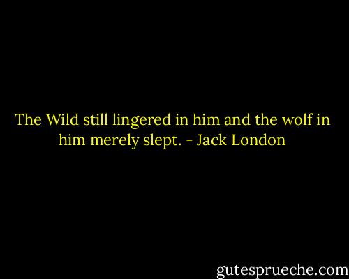 The Wild still lingered in him and the wolf in him merely slept. - Jack London