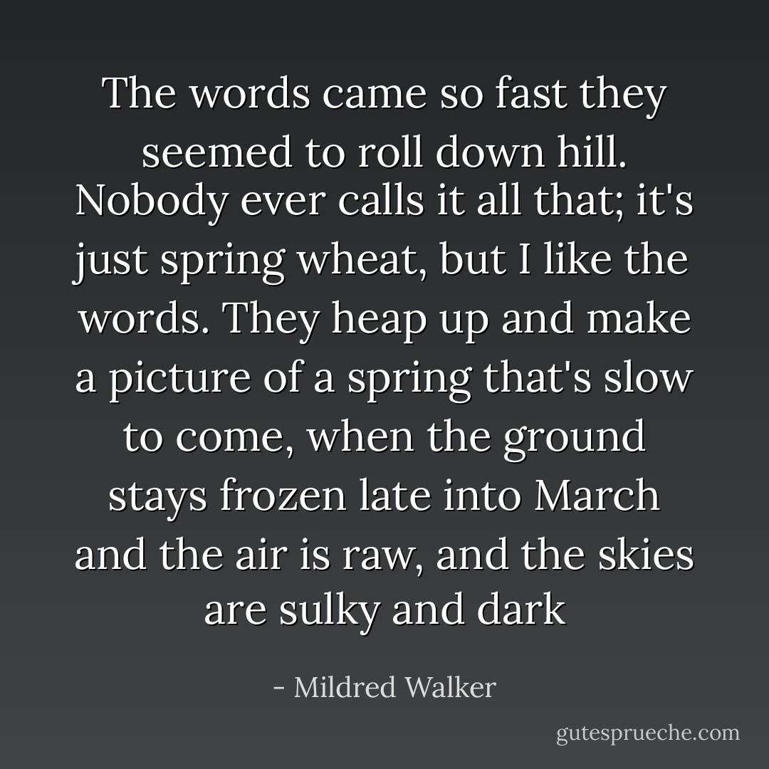 The words came so fast they seemed to roll down hill. Nobody ever calls it all that; it's just spring wheat, but I like the words. They heap up and make a picture of a spring that's slow to come, when the ground stays frozen late into March and the air is raw, and the skies are sulky and dark - Mildred Walker