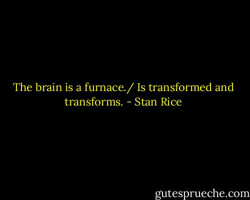 The brain is a furnace./<br />Is transformed and transforms. - Stan Rice