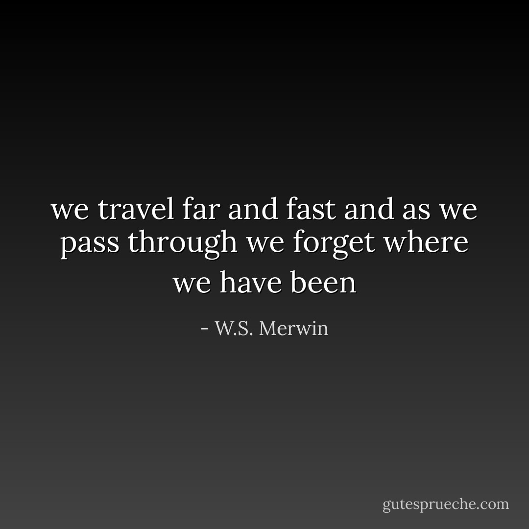 we travel far and fast<br />and as we pass through we forget<br />where we have been - W.S. Merwin