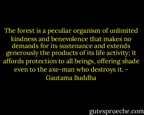 The forest is a peculiar organism of unlimited kindness and benevolence that makes no demands for its sustenance and extends generously the products of its life activity; it affords protection to all beings, offering shade even to the axe-man who destroys it. - Gautama Buddha