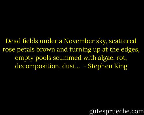 Dead fields under a November sky, scattered rose petals brown and turning up at the edges, empty pools scummed with algae, rot, decomposition, dust...  - Stephen King