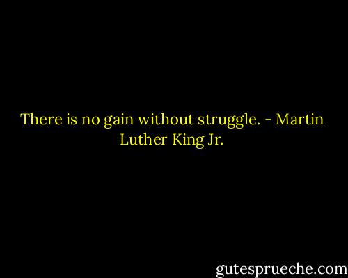 There is no gain without struggle. - Martin Luther King Jr.