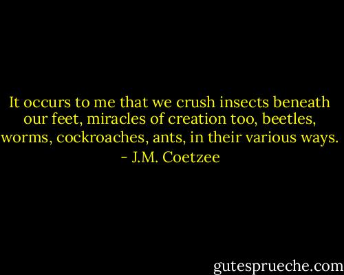 It occurs to me that we crush insects beneath our feet, miracles of creation too, beetles, worms, cockroaches, ants, in their various ways. - J.M. Coetzee