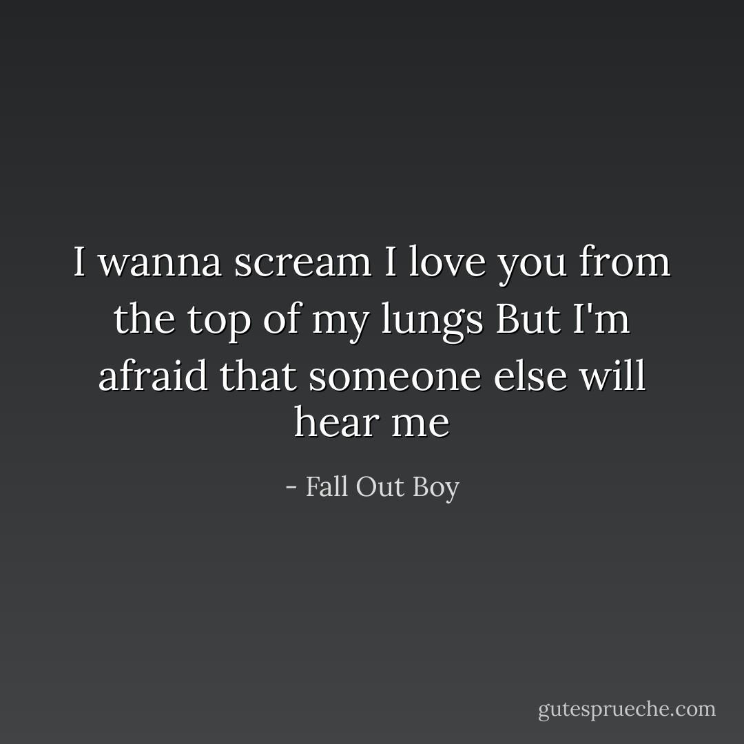I wanna scream I love you from the top of my lungs<br />But I'm afraid that someone else will hear me - Fall Out Boy