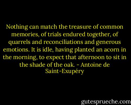 Nothing can match the treasure of common memories, of trials endured together, of quarrels and reconciliations and generous emotions. It is idle, having planted an acorn in the morning, to expect that afternoon to sit in the shade of the oak. - Antoine de Saint-Exupéry