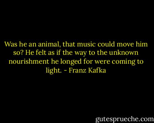 Was he an animal, that music could move him so? He felt as if the way to the unknown nourishment he longed for were coming to light. - Franz Kafka