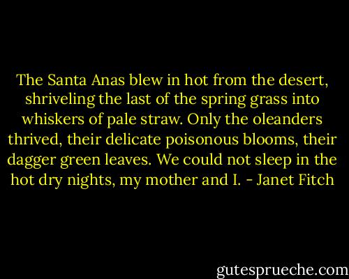 The Santa Anas blew in hot from the desert, shriveling the last of the spring grass into whiskers of pale straw. Only the oleanders thrived, their delicate poisonous blooms, their dagger green leaves. We could not sleep in the hot dry nights, my mother and I. - Janet Fitch
