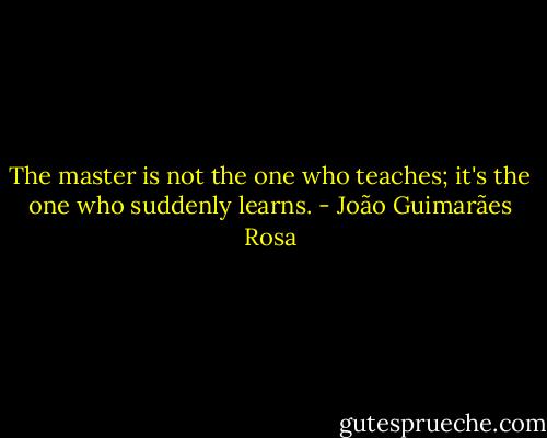 The master is not the one who teaches; it's the one who suddenly learns. - João Guimarães Rosa