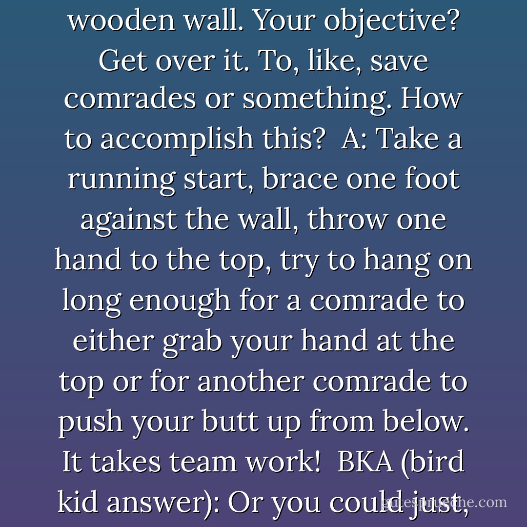 Q: You'er presented with a smooth-faced, eight-foot-high wooden wall. Your objective? Get over it. To, like, save comrades or something. How to accomplish this?<br /><br />A: Take a running start, brace one foot against the wall, throw one hand to the top, try to hang on long enough for a comrade to either grab your hand at the top or for another comrade to push your butt up from below. It takes team work!<br /><br />BKA (bird kid answer): Or you could just, like, <i>fly</i> over it. - James Patterson