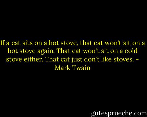 If a cat sits on a hot stove, that cat won't sit on a hot stove again. That cat won't sit on a cold stove either. That cat just don't like stoves. - Mark Twain