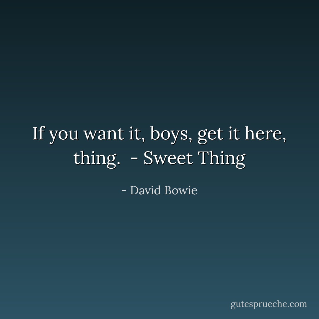 If you want it, boys, get it here, thing.<br /><br />- <i>Sweet Thing</i> - David Bowie