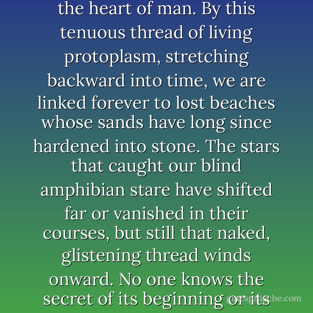 Since the first human eye saw a leaf in Devonian sandstone and a puzzled finger<br />reached to touch it, sadness has lain over the heart of man. By this tenuous<br />thread of living protoplasm, stretching backward into time, we are linked forever to lost beaches whose sands have long since hardened into stone. The stars that caught our blind<br />amphibian stare have shifted far or vanished in their courses, but still that naked, glistening thread winds onward. No one knows the secret of its beginning or its end. Its<br />forms are phantoms. The thread alone is real; the thread is life. - Loren Eiseley