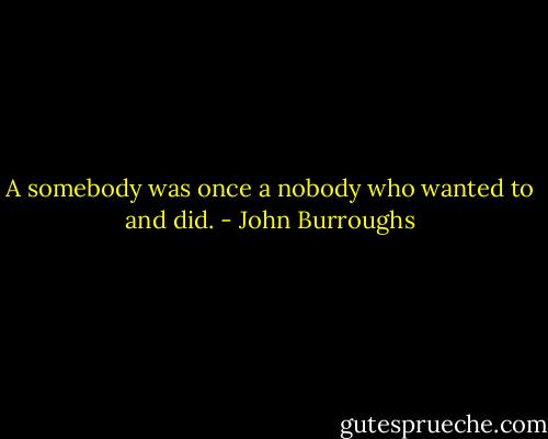 A somebody was once a nobody who wanted to and did. - John Burroughs