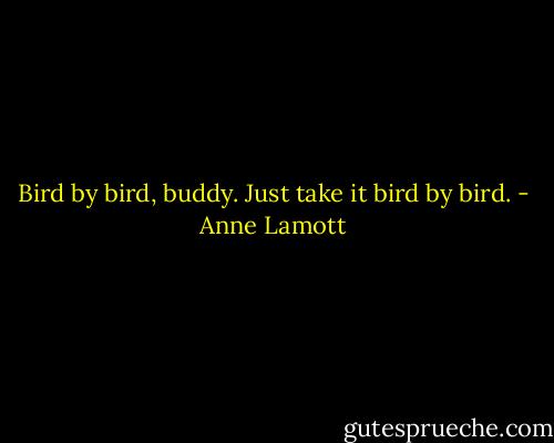 Bird by bird, buddy. Just take it bird by bird. - Anne Lamott