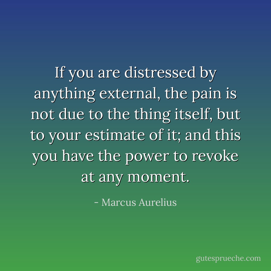 If you are distressed by anything external, the pain is not due to the thing itself, but to your estimate of it; and this you have the power to revoke at any moment. - Marcus Aurelius