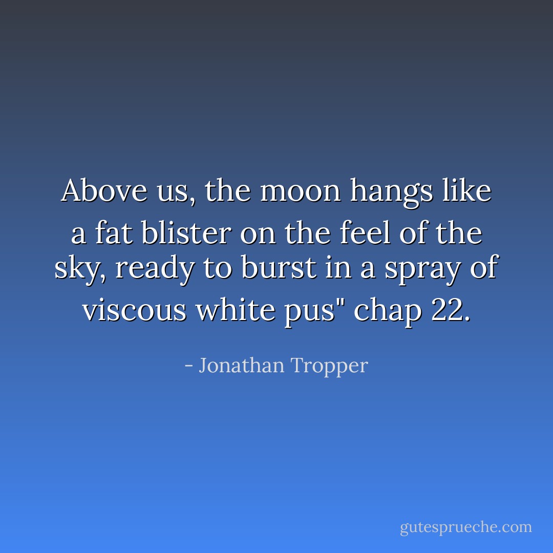Above us, the moon hangs like a fat blister on the feel of the sky, ready to burst in a spray of viscous white pus"<br />chap 22. - Jonathan Tropper