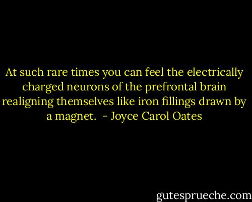 At such rare times you can feel the electrically charged neurons of the prefrontal brain realigning themselves like iron fillings drawn by a magnet.  - Joyce Carol Oates