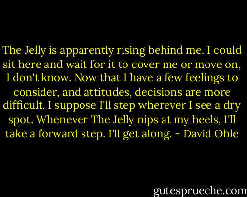 The Jelly is apparently rising behind me. I could sit here and wait for it to cover me or move on, I don't know. Now that I have a few feelings to consider, and attitudes, decisions are more difficult. I suppose I'll step wherever I see a dry spot. Whenever The Jelly nips at my heels, I'll take a forward step. I'll get along. - David Ohle