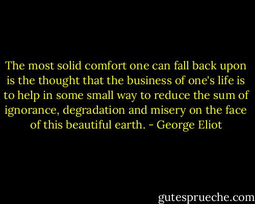 The most solid comfort one can fall back upon is the thought that the business of one's life is to help in some small way to reduce the sum of ignorance, degradation and misery on the face of this beautiful earth. - George Eliot