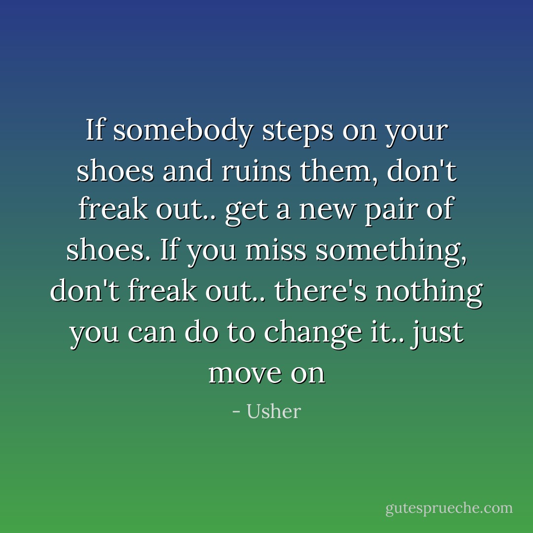 If somebody steps on your shoes and ruins them, don't freak out.. get a new pair of shoes. If you miss something, don't freak out.. there's nothing you can do to change it.. just move on - Usher