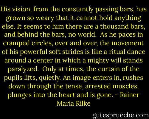 His vision, from the constantly passing bars,<br />has grown so weary that it cannot hold<br />anything else. It seems to him there are<br />a thousand bars, and behind the bars, no world.<br /><br />As he paces in cramped circles, over and over,<br />the movement of his powerful soft strides<br />is like a ritual dance around a center<br />in which a mighty will stands paralyzed.<br /><br />Only at times, the curtain of the pupils<br />lifts, quietly. An image enters in,<br />rushes down through the tense, arrested muscles,<br />plunges into the heart and is gone. - Rainer Maria Rilke