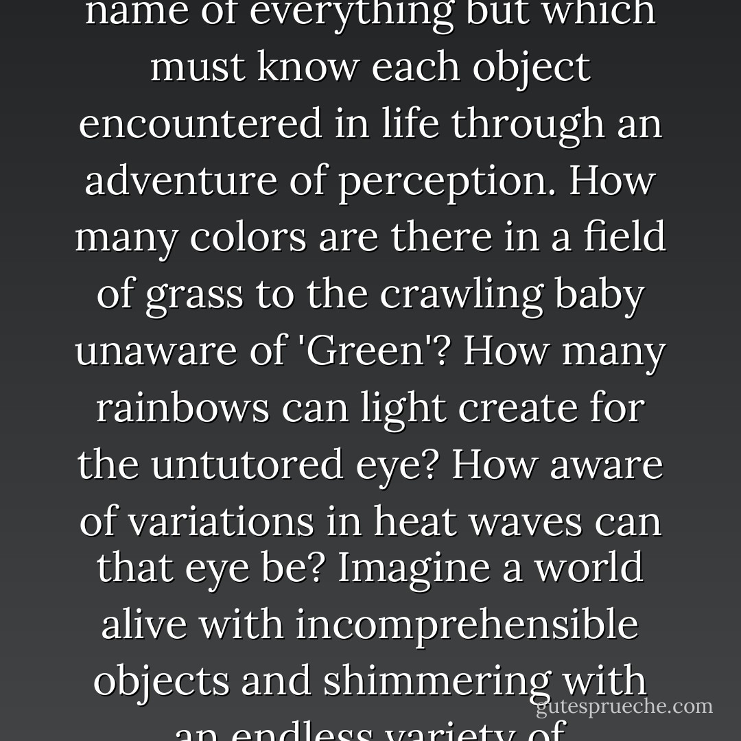Imagine an eye unruled by man-made laws of perspective, an eye unprejudiced by compositional logic, an eye which does not respond to the name of everything but which must know each object encountered in life through an adventure of perception. How many colors are there in a field of grass to the crawling baby unaware of 'Green'? How many rainbows can light create for the untutored eye? How aware of variations in heat waves can that eye be? Imagine a world alive with incomprehensible objects and shimmering with an endless variety of movement and innumerable gradations of color. Imagine a world before the 'beginning was the word. - Stan Brakhage