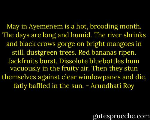 May in Ayemenem is a hot, brooding month. The days are long and humid. The river shrinks and black crows gorge on bright mangoes in still, dustgreen trees. Red bananas ripen. Jackfruits burst. Dissolute bluebottles hum vacuously in the fruity air. Then they stun themselves against clear windowpanes and die, fatly baffled in the sun. - Arundhati Roy