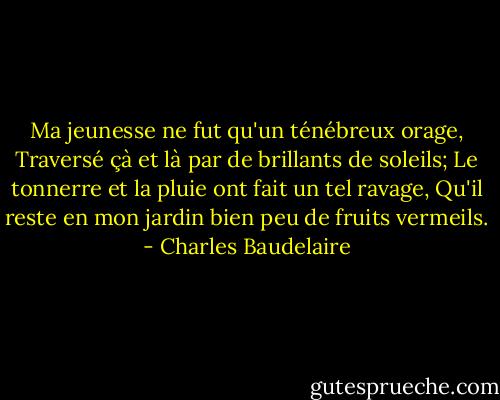 Ma jeunesse ne fut qu'un ténébreux orage, Traversé çà et là par de brillants de soleils; Le tonnerre et la pluie ont fait un tel ravage, Qu'il reste en mon jardin bien peu de fruits vermeils. - Charles Baudelaire