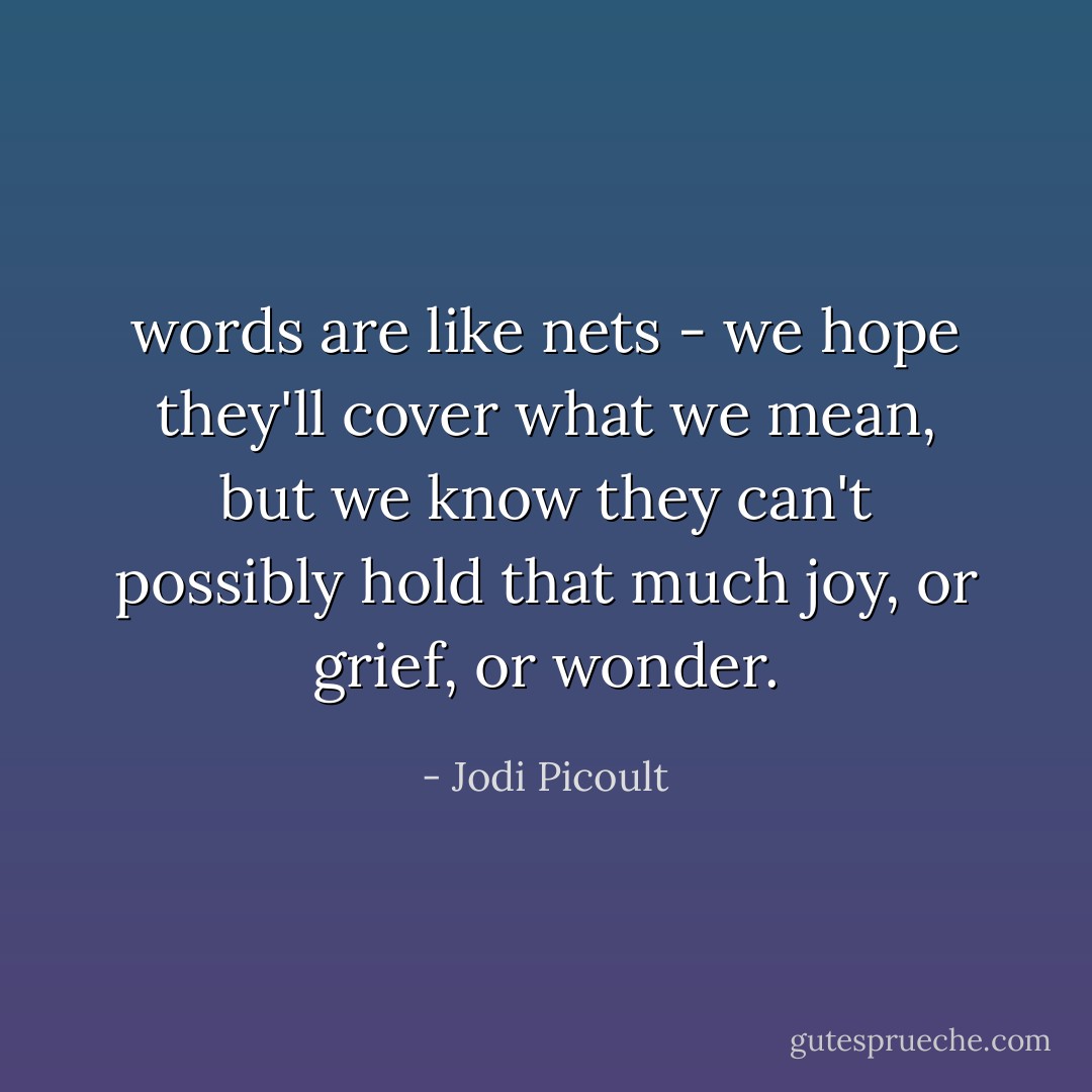 words are like nets - we hope they'll cover what we mean, but we know they can't possibly hold that much joy, or grief, or wonder. - Jodi Picoult